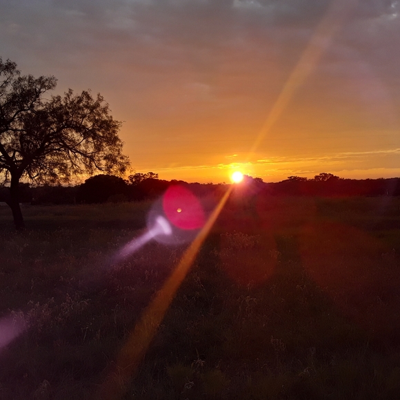 Meet your Posher, Alleia - Picture 3 of 4